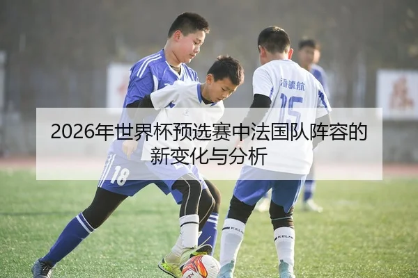 2026年世界杯预选赛中法国队阵容的新变化与分析