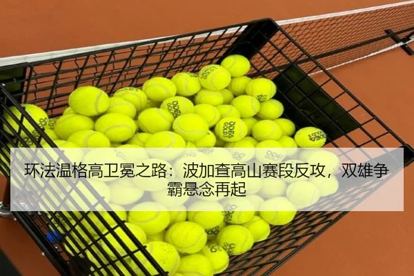 huan-fa-wen-ge-gao-wei-mian-zhi-lu-bo-jia-cha-gao-shan-sai-duan-fan-gong-shuang-xiong-zheng-ba-xuan-nian-zai-qi-2-256.jpg