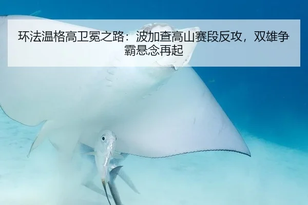 环法温格高卫冕之路：波加查高山赛段反攻，双雄争霸悬念再起