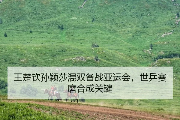 王楚钦孙颖莎混双备战亚运会，世乒赛磨合成关键